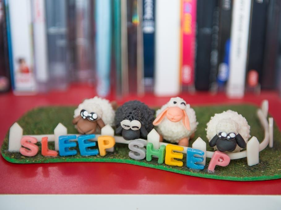 Sleep Sheep Phuket Hostel Sha Esterno foto